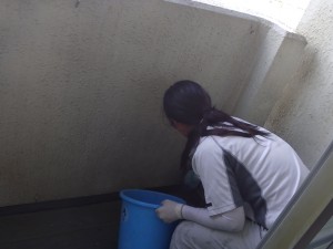 鳩の糞を掃除するときのコツと注意点 日本鳩対策センター